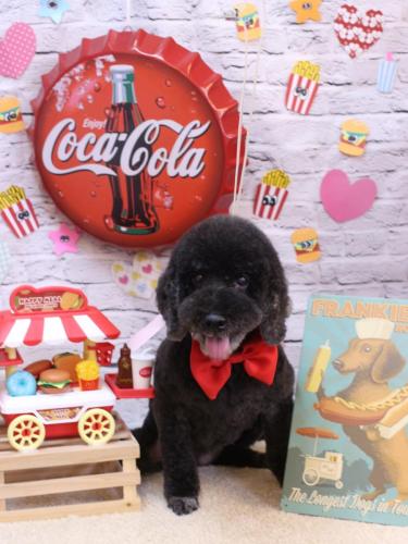 20230901クロちゃん